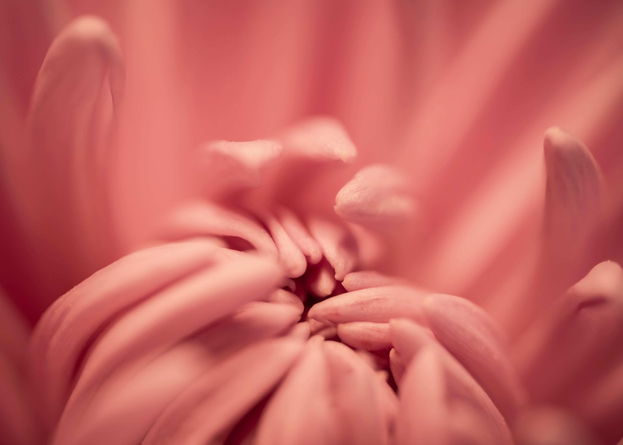 Emergence - Digital Download