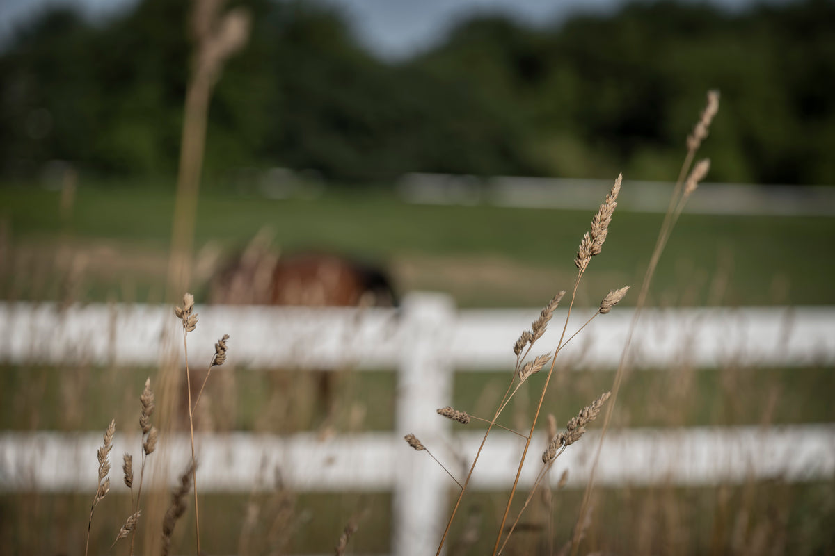 Farm Bliss - Digital Download